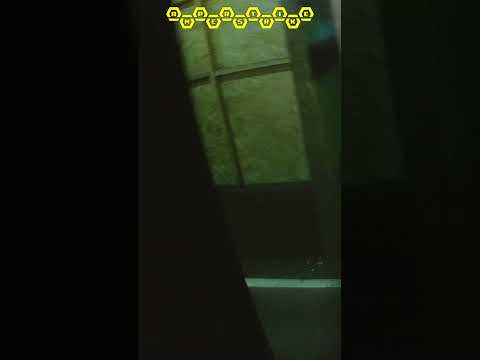 По попе больно #Airsoft #shorts #cqb #moment №17