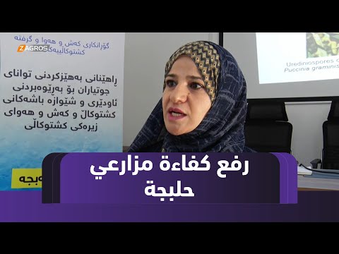 فيديو | حلبجة.. دورة تدريبية لرفع كفاءة المزارعين بأساليب الزراعة الحديثة