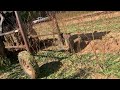 Harvesting Peach Trees From Legg Creek Farm