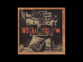 Willie Nelson - Ain't Nobody's Business