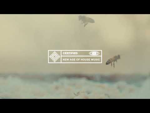 Bleu Clair, OOTORO Feat. Chyra - Killer Bee