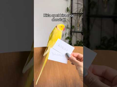 Kako lep doručaak njam