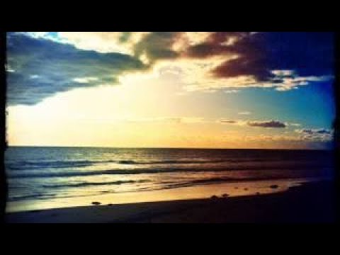 Matula & Goldsound Wonderful world (TreeFix Remix)