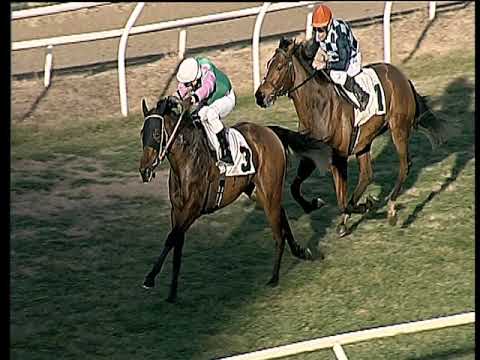 Galoppo 19/01/2019 - 2ª corsa