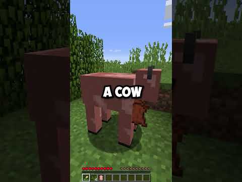 What If You Shear A Pig in Minecraft