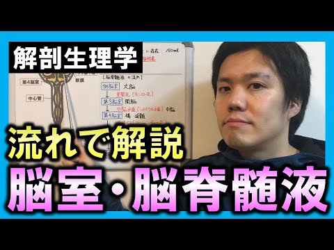 脳脊髄液について詳しく解説