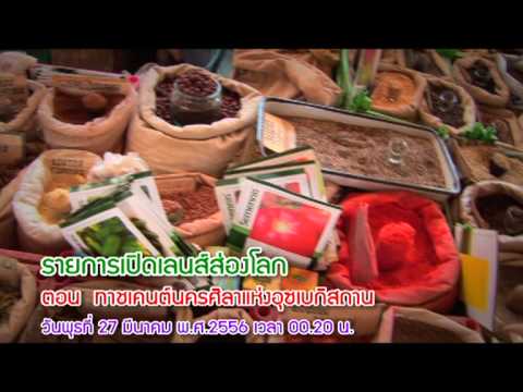 เพิ่มสมาชิกชาย รากอ่อนแอ