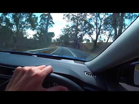 🚗 Journey Through the Blue Mountains | Exploring Australia’s Wilderness