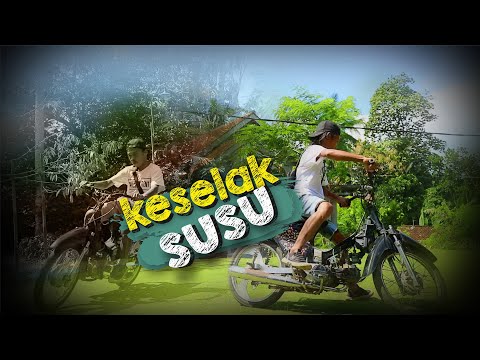 keselak-susu