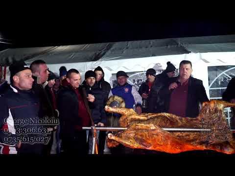 Formatia George Nicoloiu   Hore si sarbe instrumentale live 100% la gratar   Picior de munte