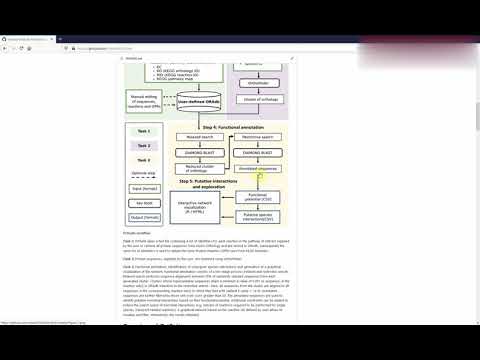 Introduction to OrtSuite