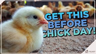 7 Things You Must Prepare Before Your Chicks Arrive
