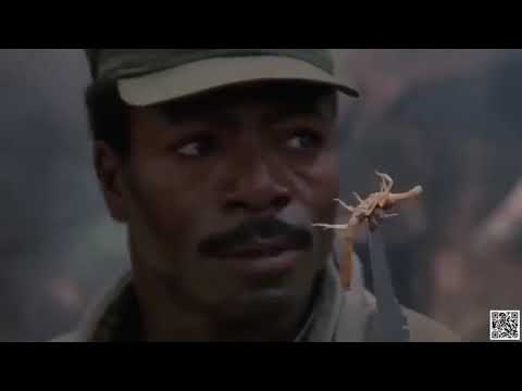 Av  - Türkçe Dublaj Film