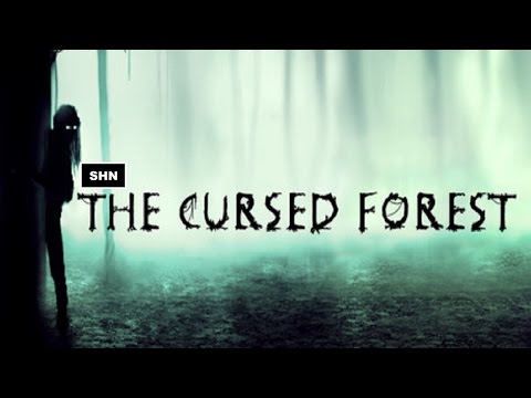 Gameplay de The Cursed Forest