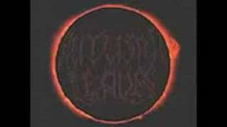 Autumn Leaves - The Present Past