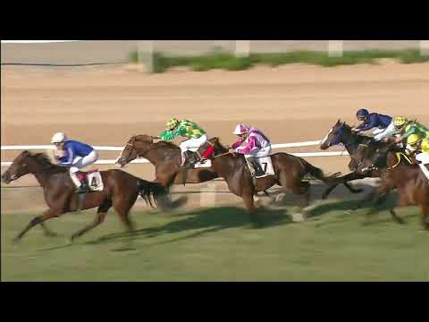 Galoppo Corse  del 22 OTTOBRE 2022