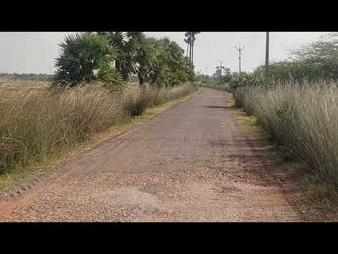  218000 Sq.ft. Agricultural/Farm Land for Sale in Muthupet, Thiruvarur