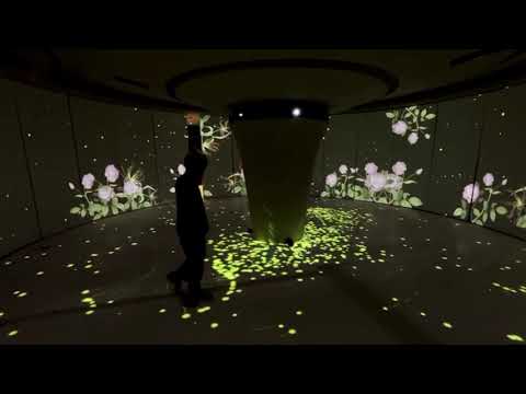 3D Holograma Holographic Virtual Display Pepperscrim  for Stage Show