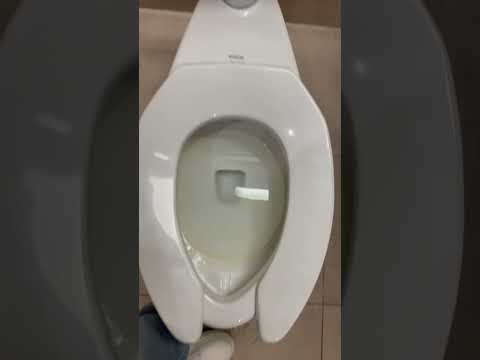 Powerful Kohler Primary at Kohl’s