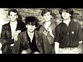 (audio) Echo & The Bunnymen live 1985