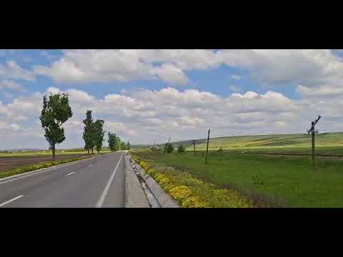 Trenul RC R 11428 Dorohoi - Iași în drum spre halta Zlătunoaia