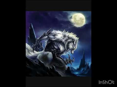 Alpha Wolf Meme