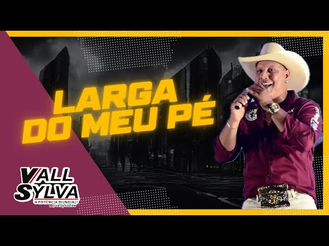 LARGA DO MEU PÉ - DVD VALL SYLVA