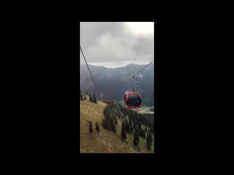 Mt Rainier Gondola Ride