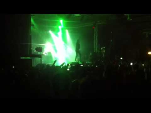 Dammi il Tiro - Suede  in concerto a Bologna (3)