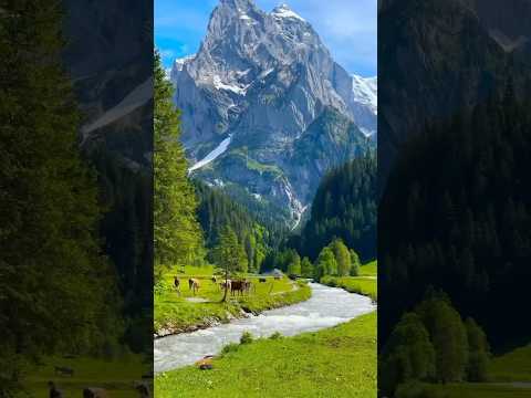 Switzerland: The Land of Pure Nature
