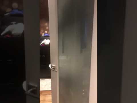 video 1