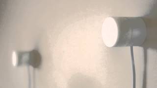 Little Fans on a wall