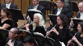 Beethoven Symphony Nr. 7, 4. Satz