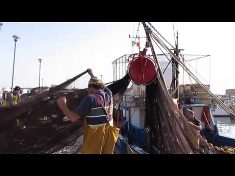 Fishermen landing their catch at Favignana (Trapani - Sicily) June 2016