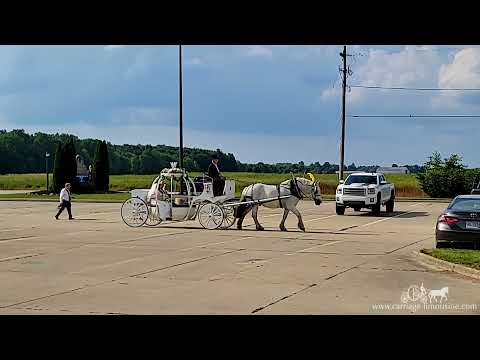 Promotional video thumbnail 4 for Carriage Limousine Service - Horse Drawn Carriages