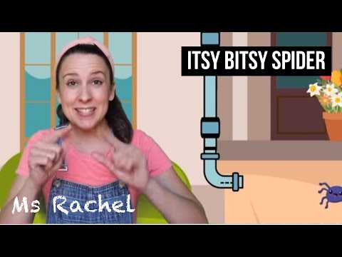 Ms Rachel - Itsy Bitsy Spider