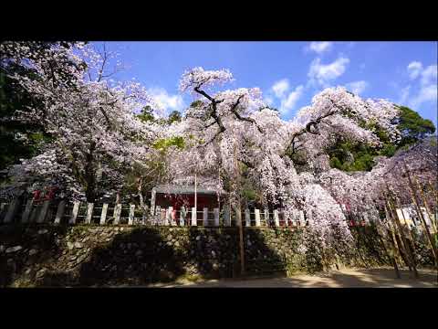 小川諏訪神社（いわき市）