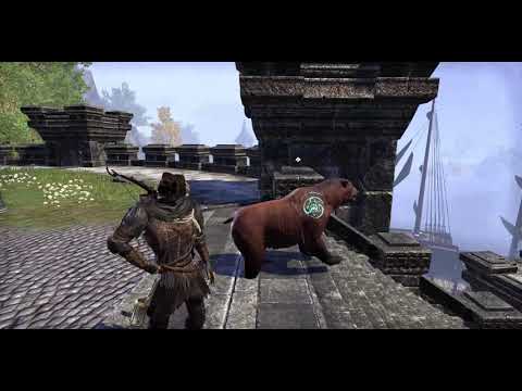 Graverobber costume and Emberthroat Durzog Pet