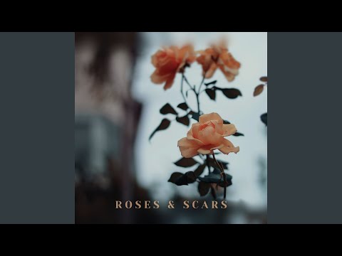 roses & scars