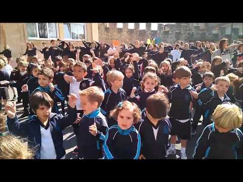 Vídeo Colegio Santo Ángel De La Guarda
