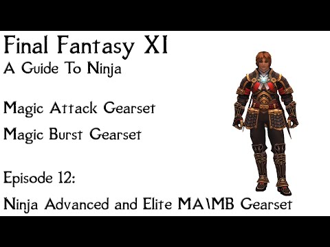 Featured image of post Ffxi Bst Gear Guide Log in or sign up