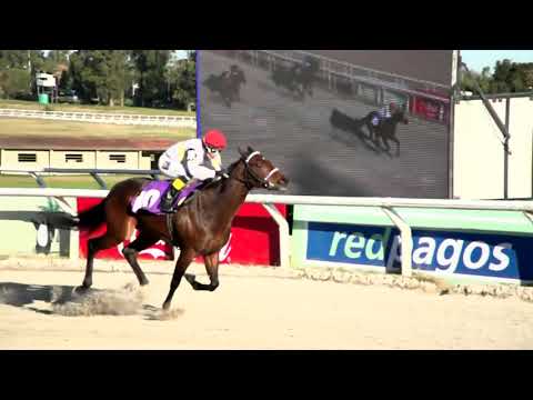 210625 c08 - CATCH VERSAL (ARG) - HIPODROMO LAS PIEDRAS