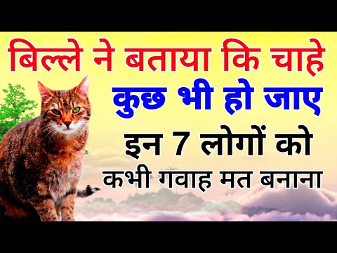 बिल्ले ने बताया कि इन 7 लोगों को कभी गवाह ना बनाएं!| Bille ne btaya In 7 Logon ko Gvah na Bnayein