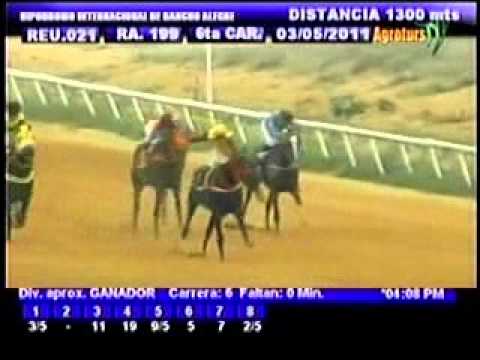 Resumen Martes, 03 de Mayo de 2011 - Rancho Alegre