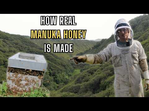 I Flew Across the World to Uncover the Truth Behind Manuka Honey