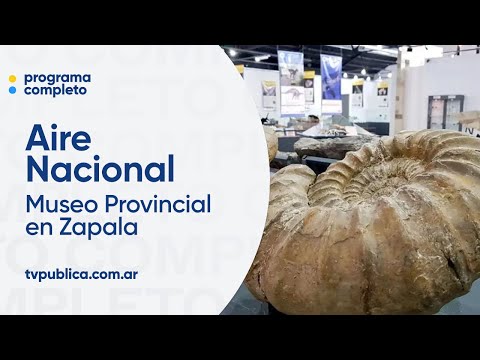 Museo Provincial en Zapala, una joya arqueológica - Aire Nacional