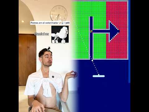 El tuyo como se porta? Jaja ✨ #humorperros #humorviral #humormascotas #perrosderisa #memesdeperros