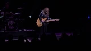 Melissa Etheridge- Ruins