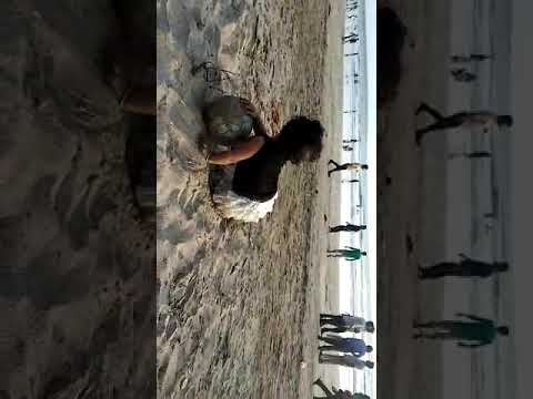 Yashwi play in arnala beach