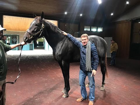 Programa Mucho mas que Turf 28 mayo 2020